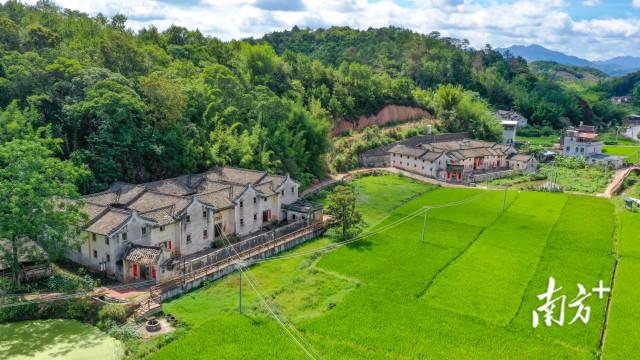 古村與良田共存，產業與鄉村共興。圖為水車茶山古村落。何森垚 攝