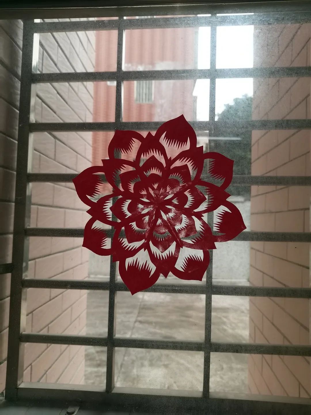 圖片