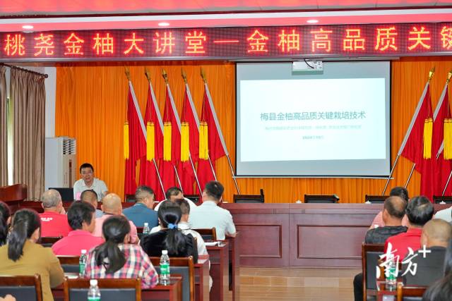 金柚技術(shù)培訓(xùn)2.jpg