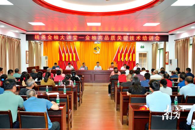 金柚技術(shù)培訓(xùn)1.jpg