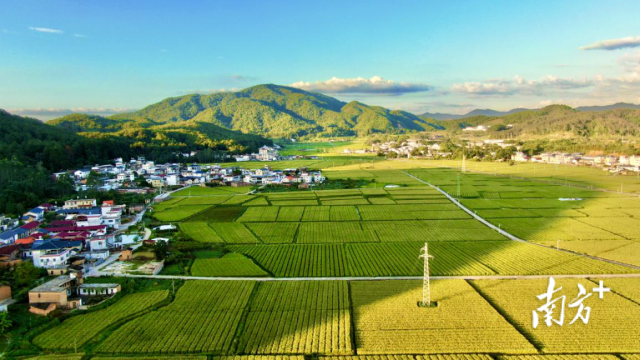 梅州市煙草專賣局（公司）拍攝