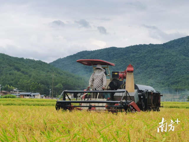 梅州市煙草專賣局（公司）拍攝