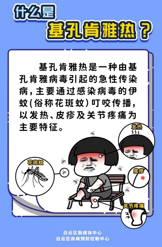1.什么是基孔肯雅熱.png